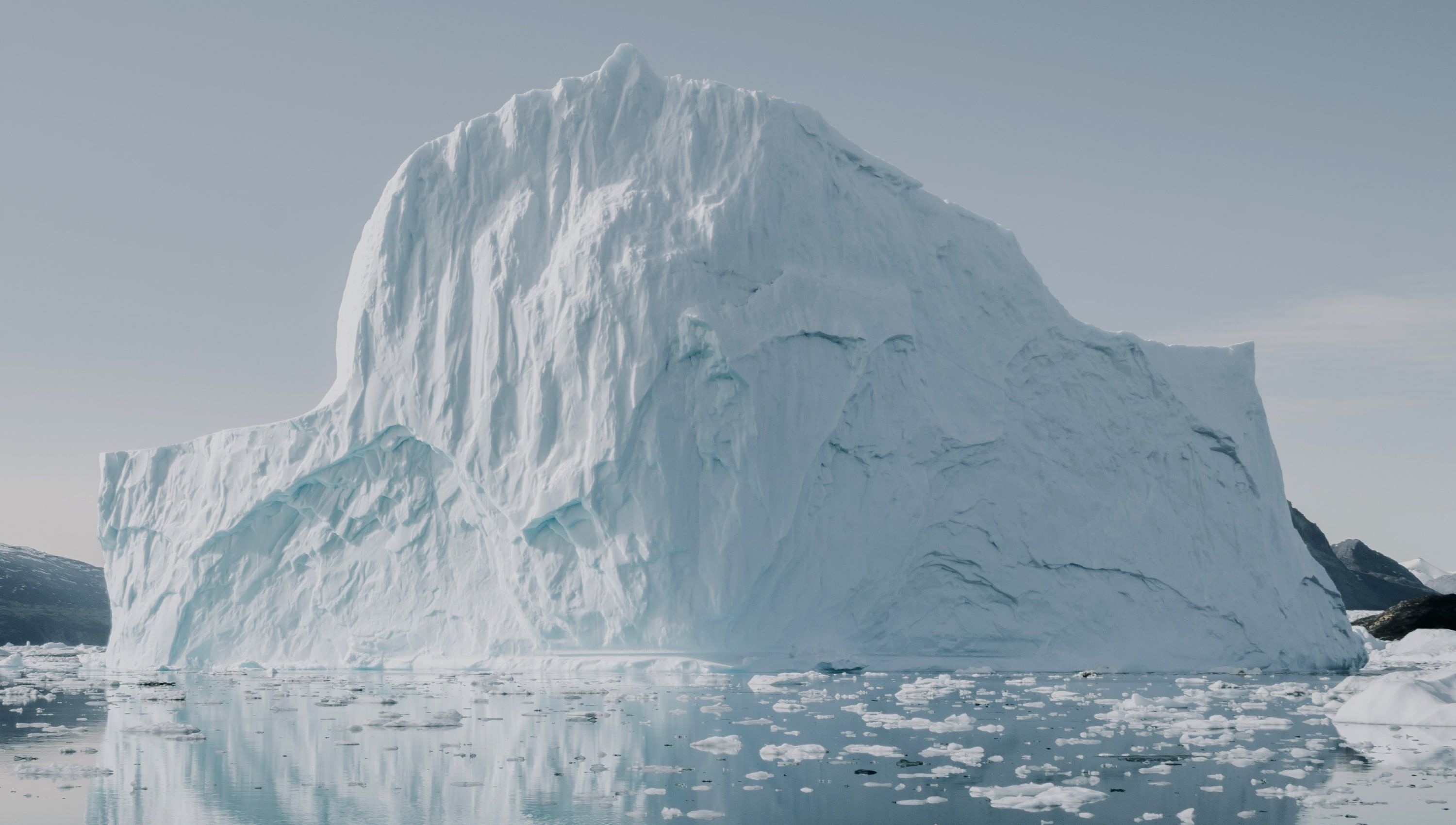 carbon revision website design