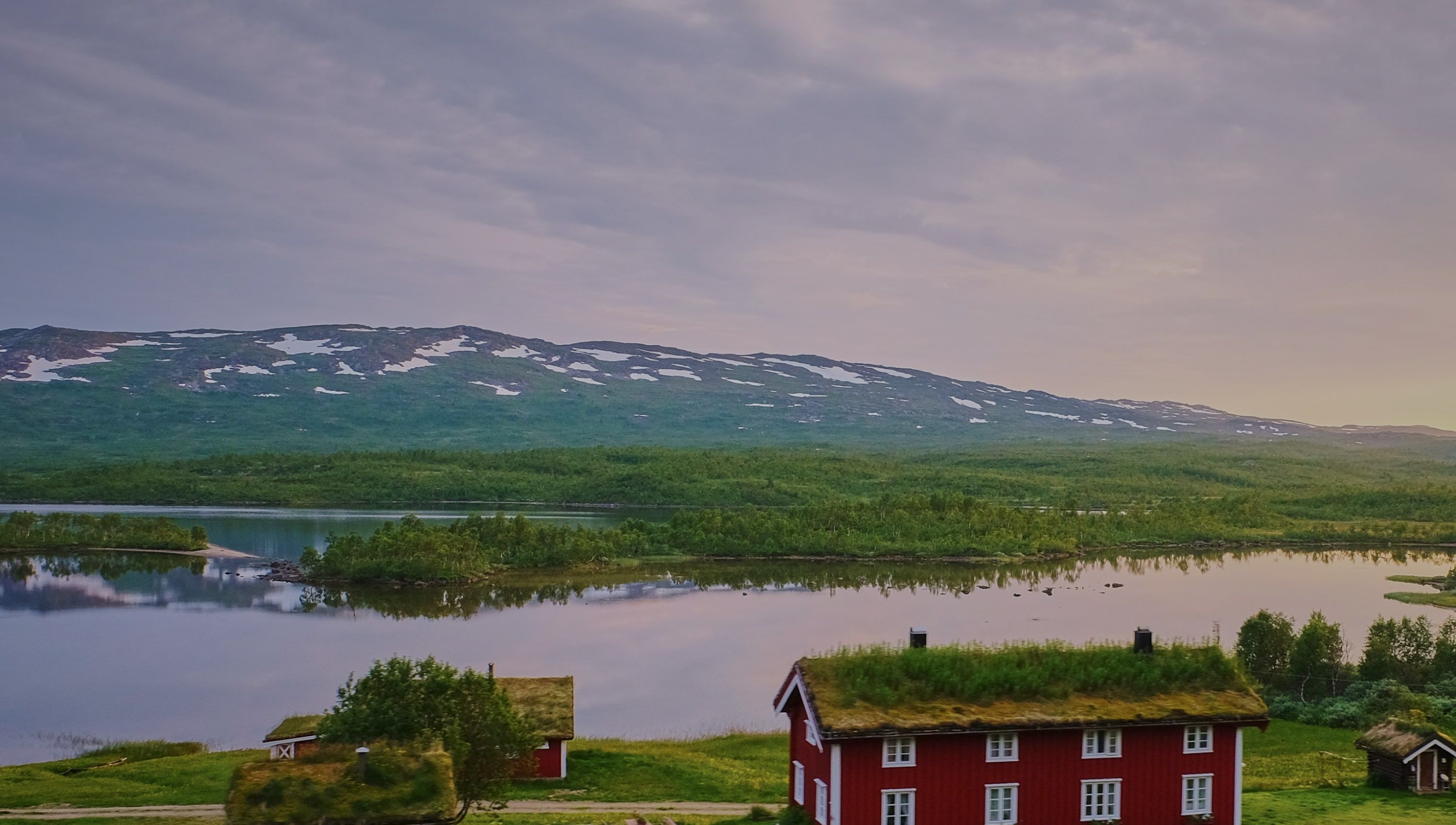 inleed website design