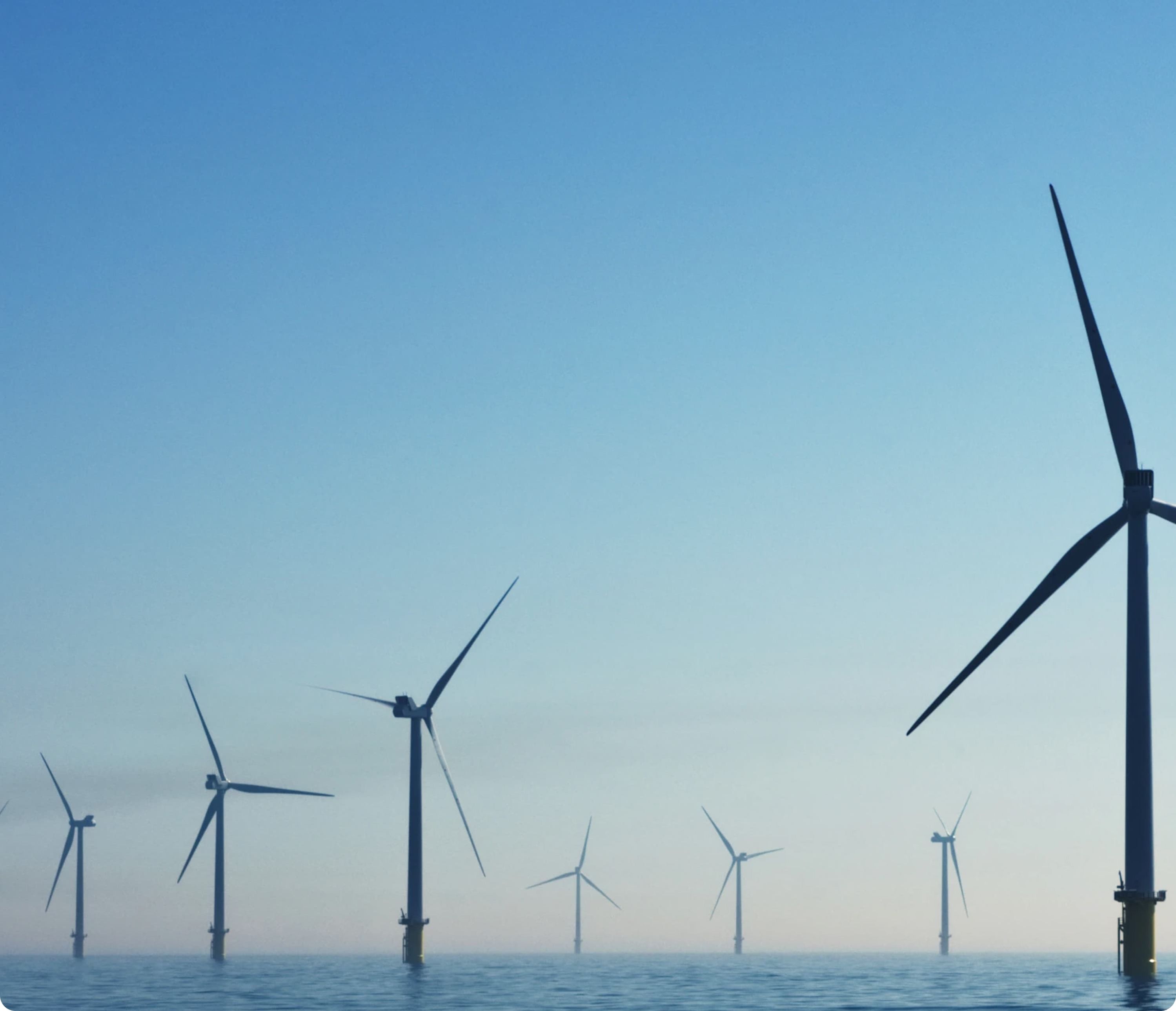 CAN EU Scoreboard website design