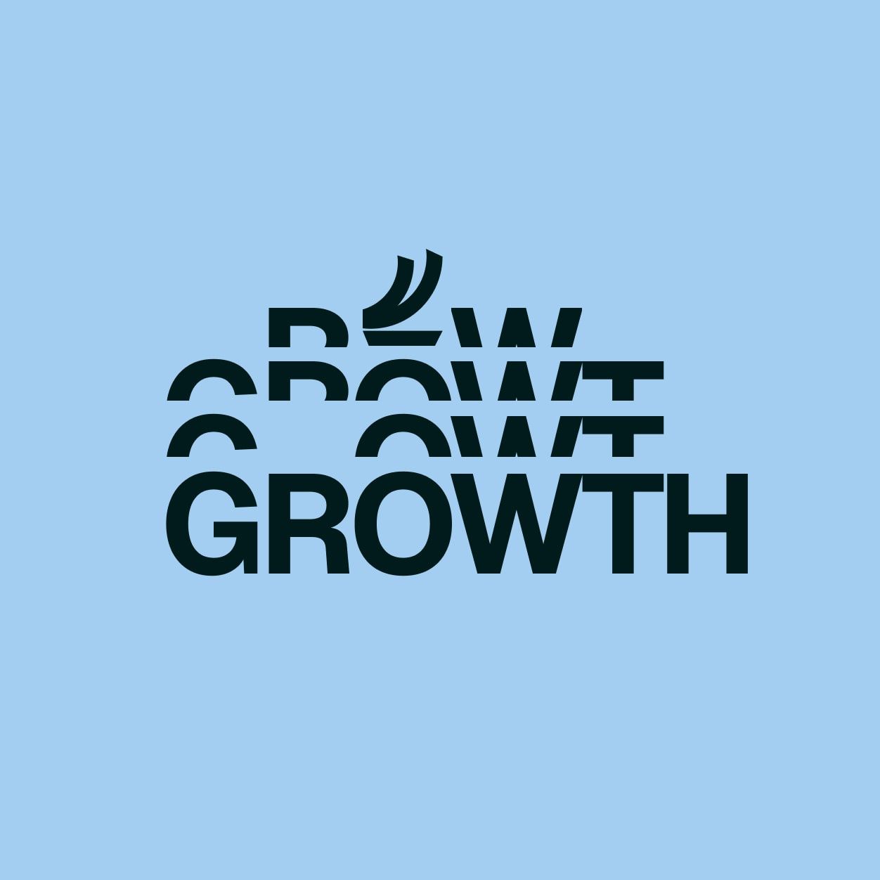 Leadskompaniet website design