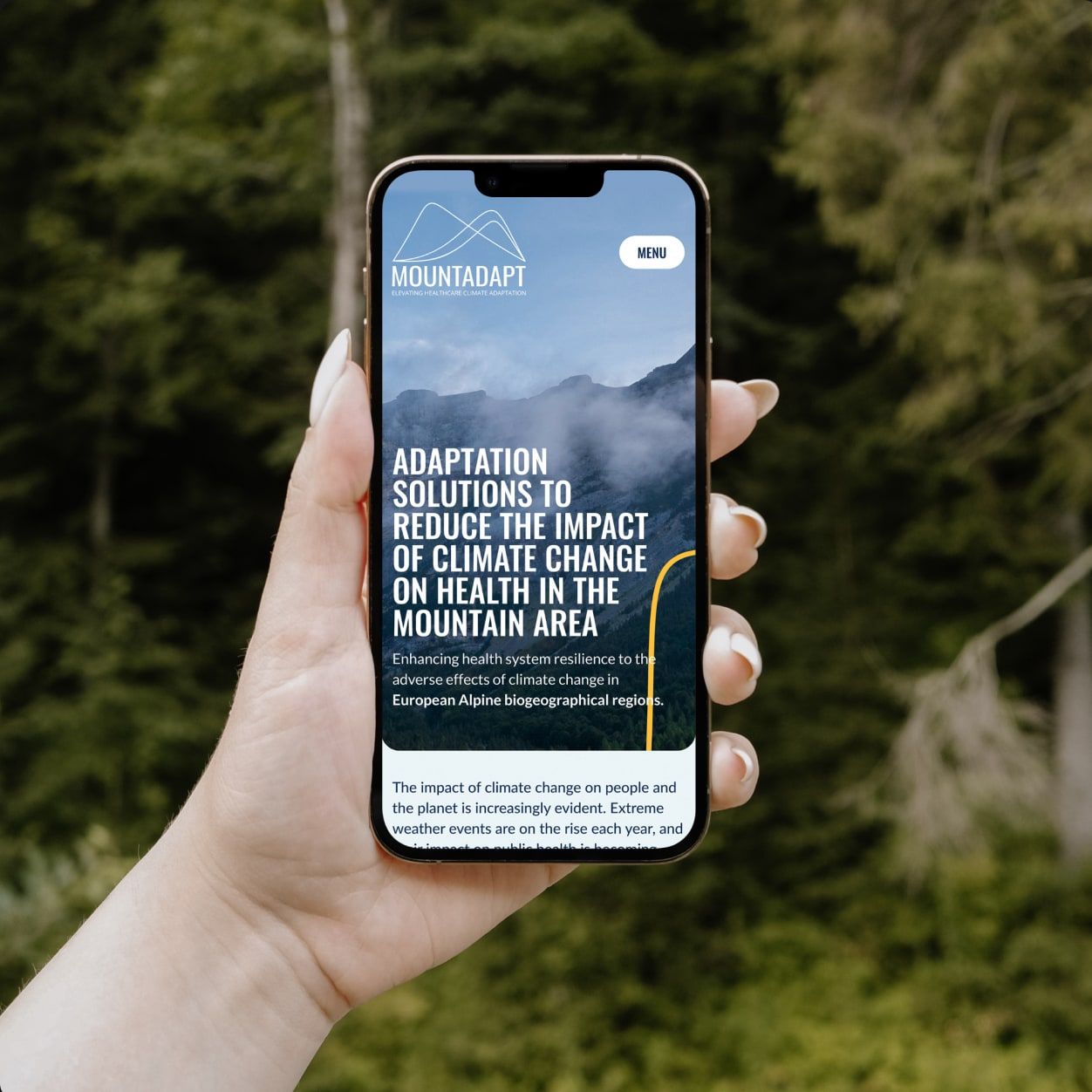 Mountadapt website design