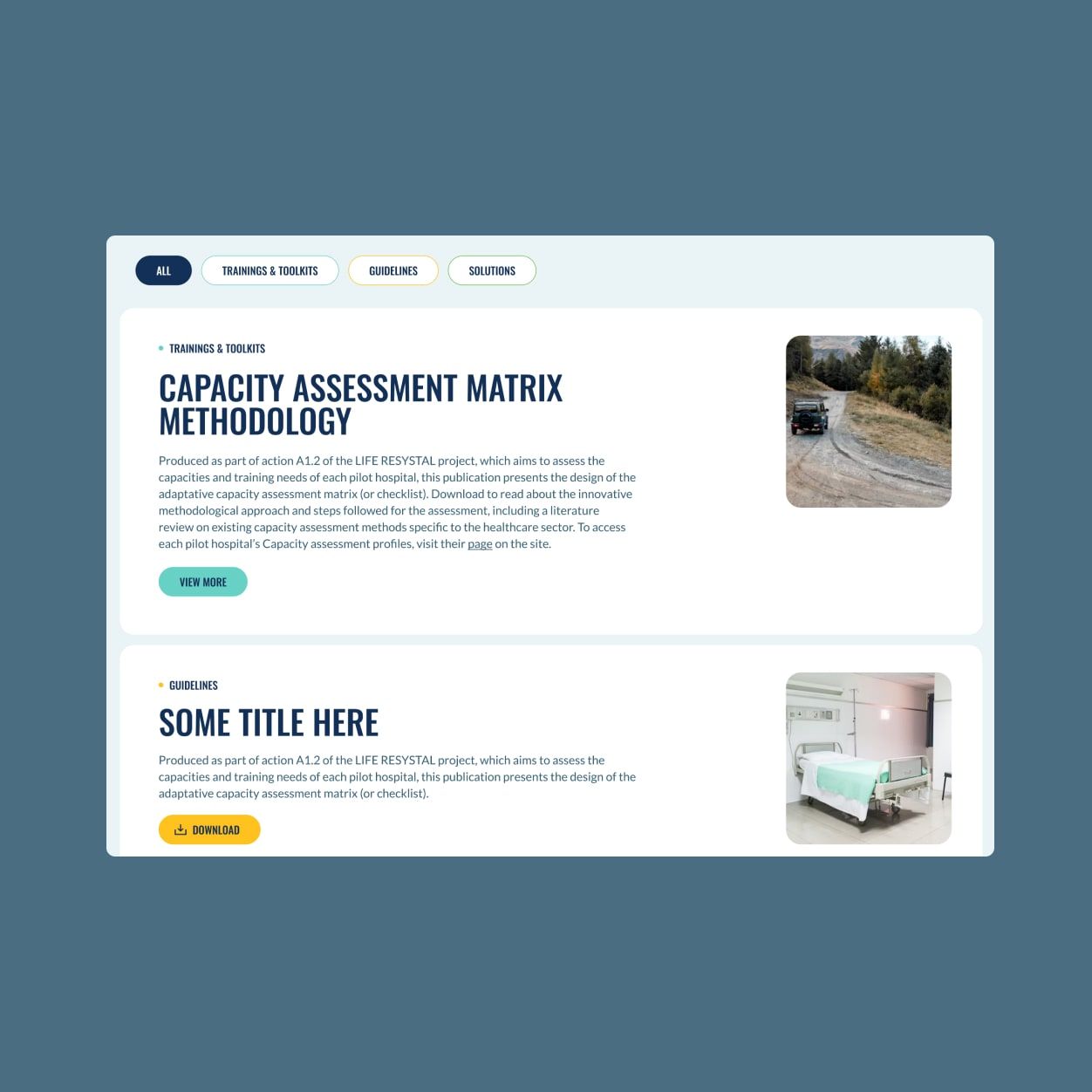 Mountadapt website design
