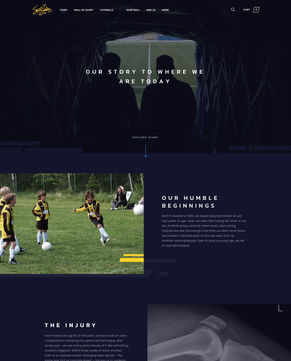 skilltwins story page